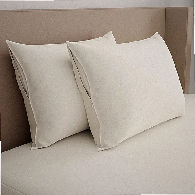 AllerEase Organic Zippered Allergy Pillow Protector, 2-pack